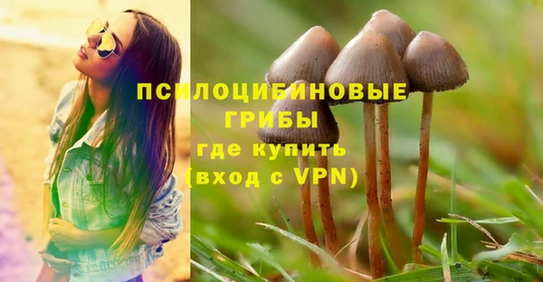 твердый Осташков